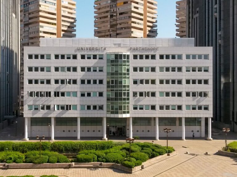 جامعة بلغراد – الدراسة والقبول والرسوم